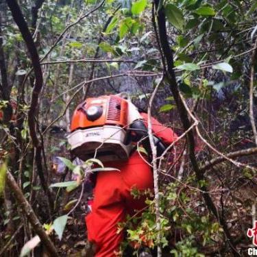 云南2月份气温多少度（云南二月份的气温）