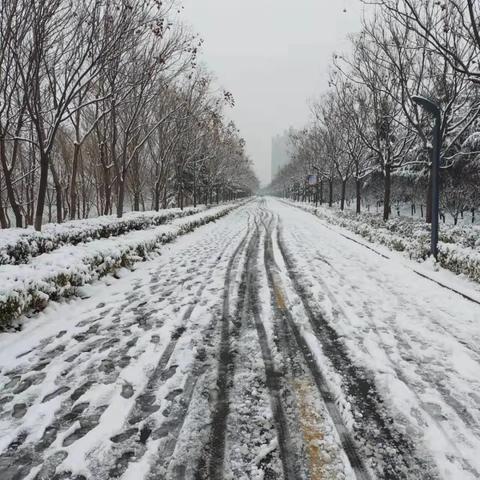 郑州市天气预报（洛阳市天气预报）