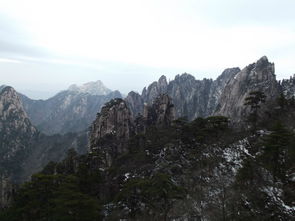 安徽黄山天气预报7天（安徽黄山10月份天气情况）