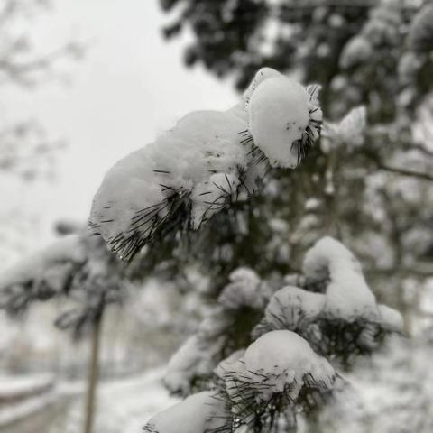 十五天天气预预报(十五天天气预预报郑州) 十五天天气预预报(十五天天气预预报郑州)