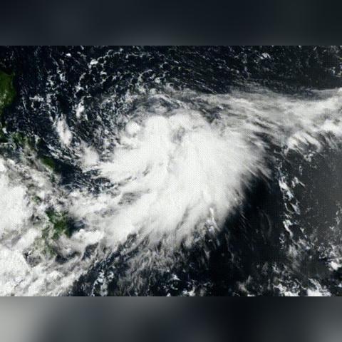 台风预报(台风预报图) 台风预报(台风预报图)