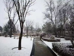 山西降雪最新消息（山西降雪最新消息12月12日）