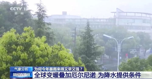 今年雨水情况怎样（今年雨水增多）