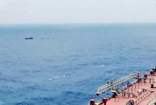 海上风浪查询软件（实时海上风浪）